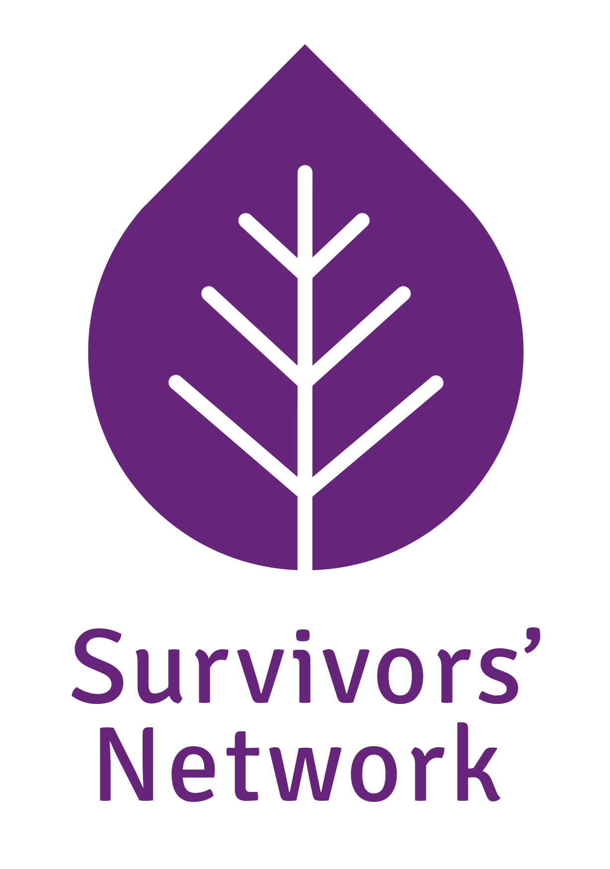 SN-logo-for-use-online-full-logo-1.png